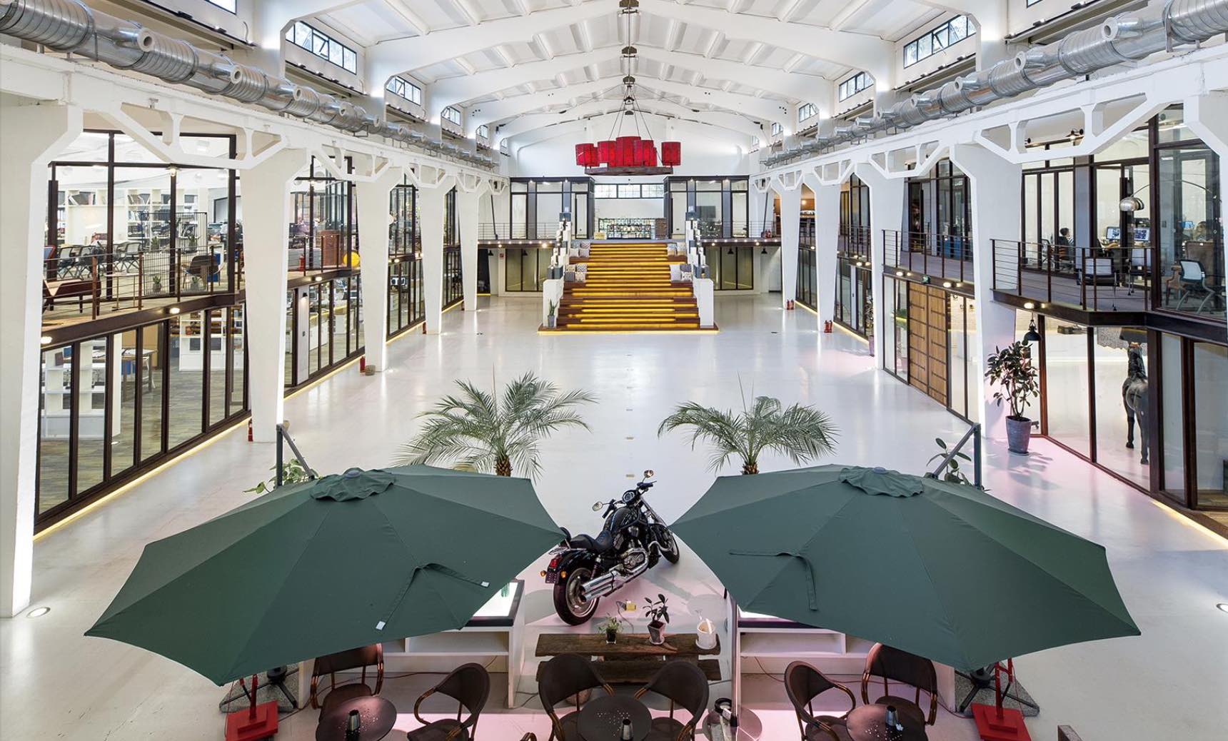 新宝GG—创立事业平台